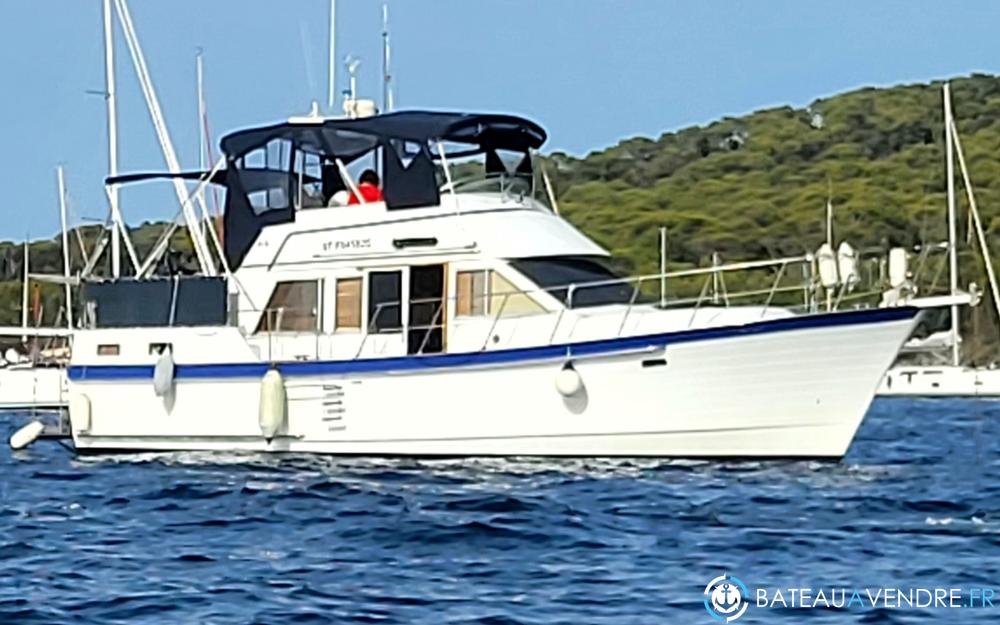 Island Gypsy 40 exterieur photo 3