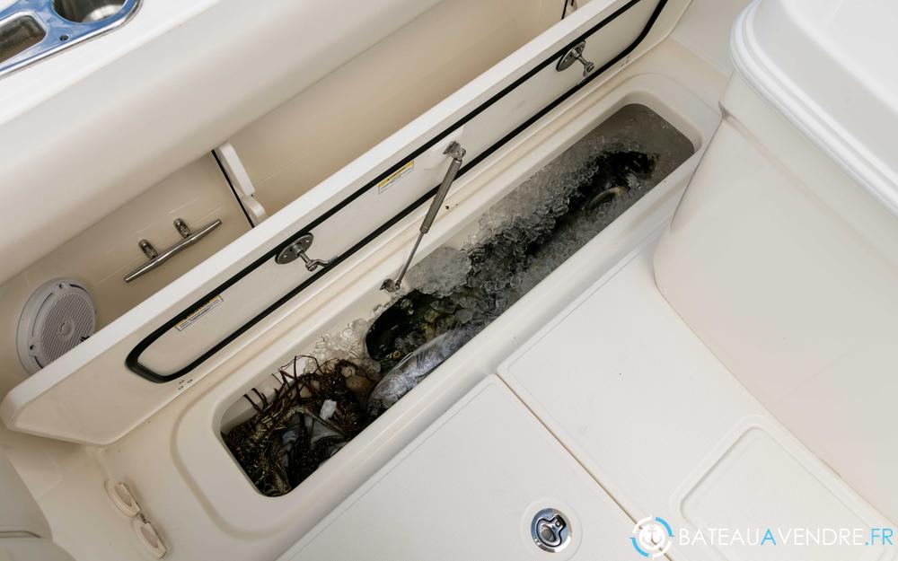 Boston Whaler 250 Outrage cuisine / salle de bain photo 4