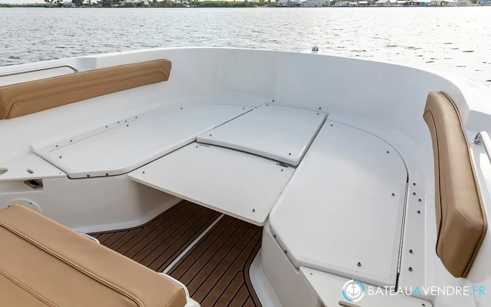 slider 11 Bayliner Trophy T20 CX