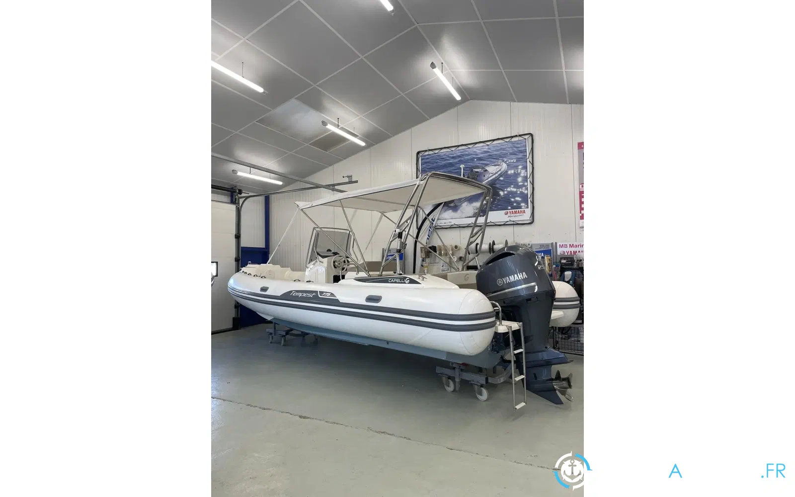 slider 0 Capelli Tempest 775 Luxe