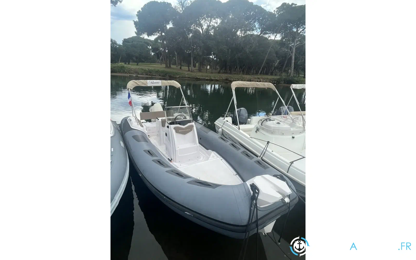 slider 1 Ranieri Cayman 19 S