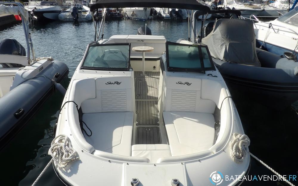 Sea Ray 230 SPX exterieur photo 2