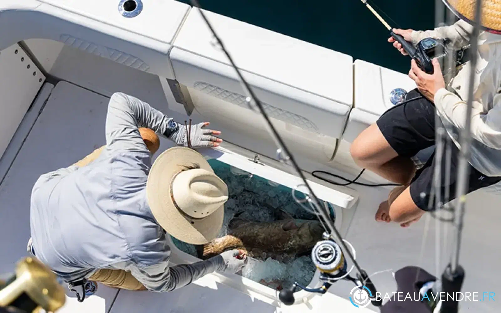 slider 21 Aquila 47 Molokai