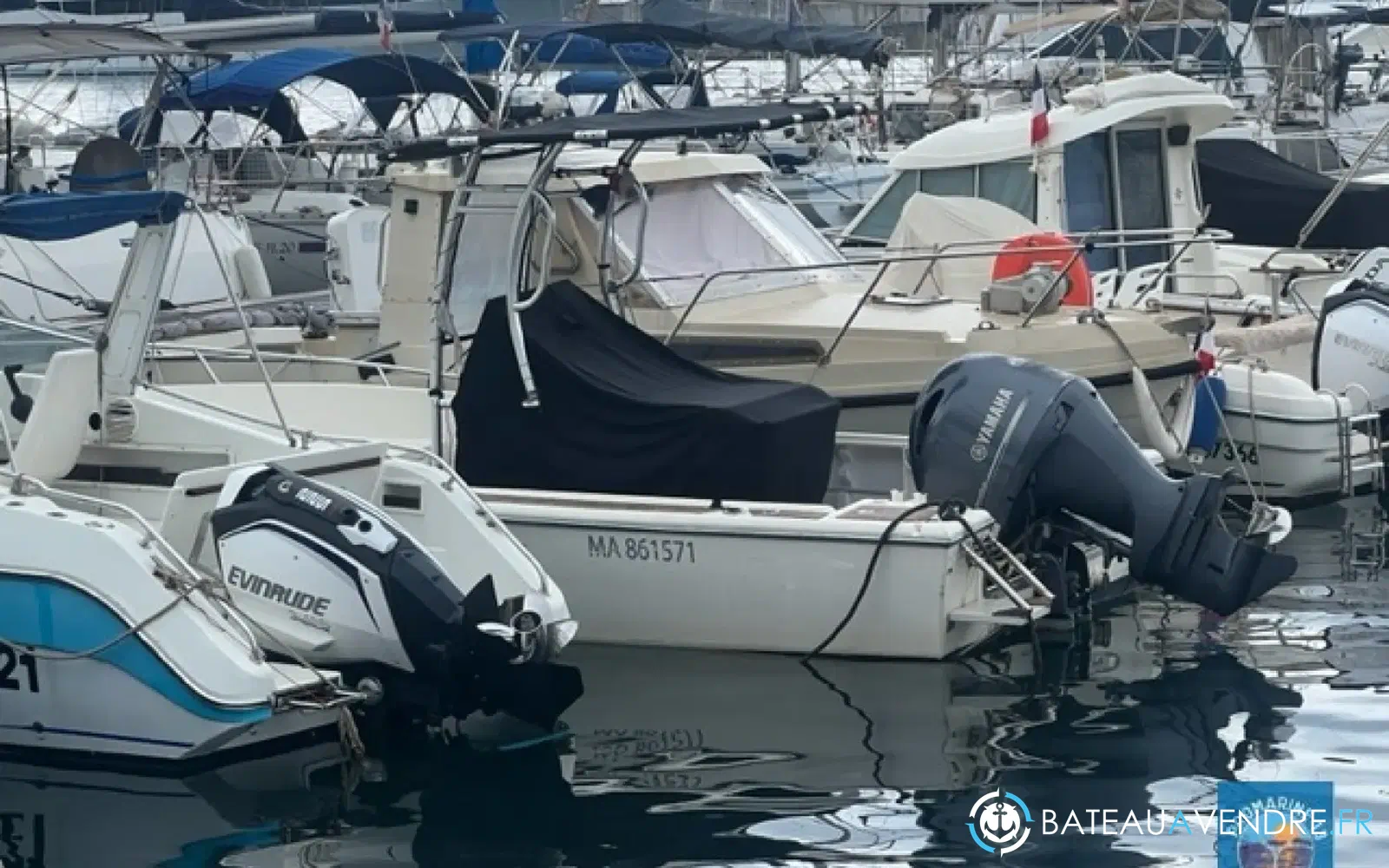 slider 2 Kelt White Shark 215