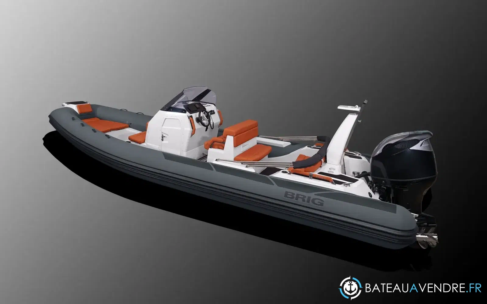 slider 1 Brig Eagle 8