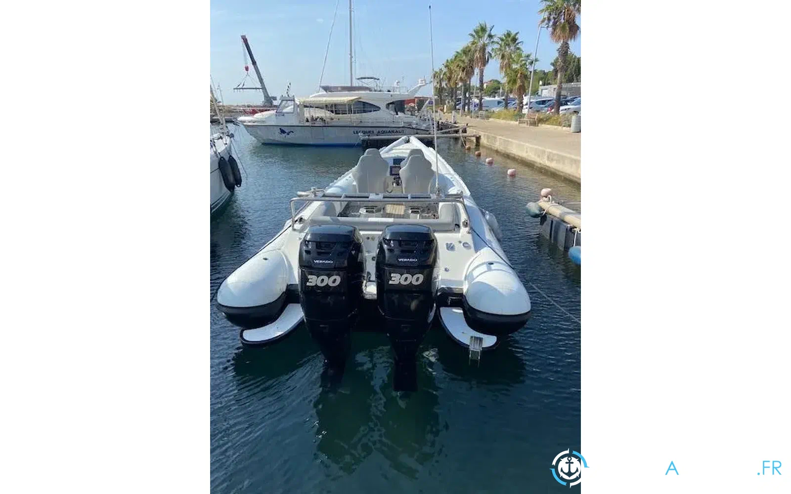 slider 8 Miss Cat Performance 1100 Raid