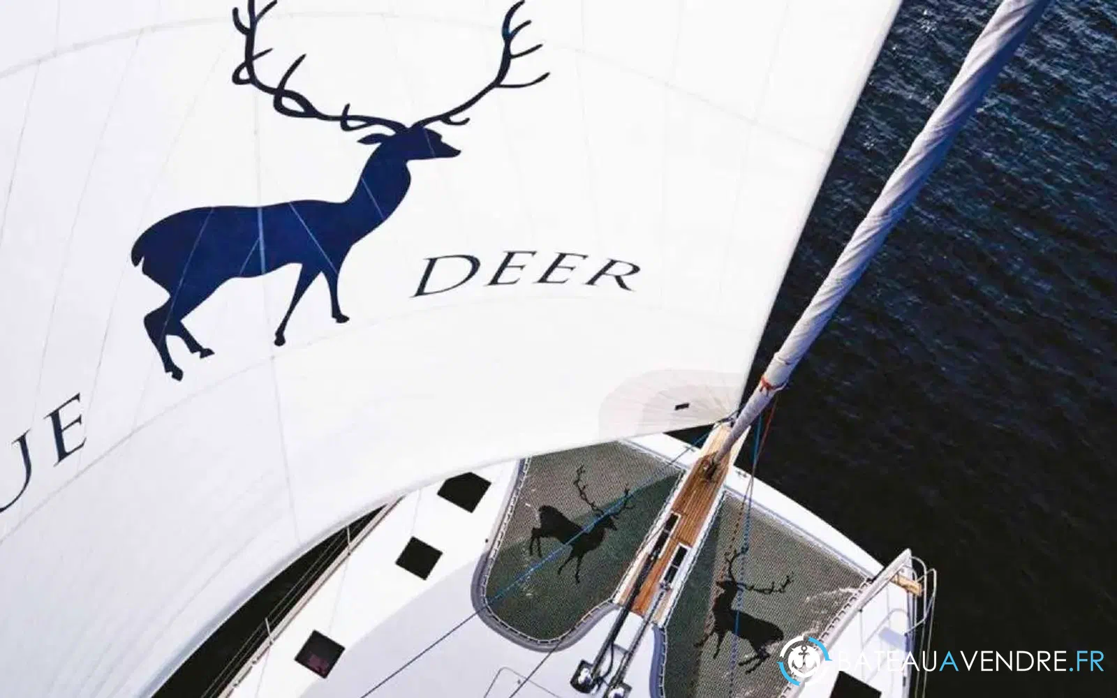 slider 12 Sunreef Yachts Sunreef 74