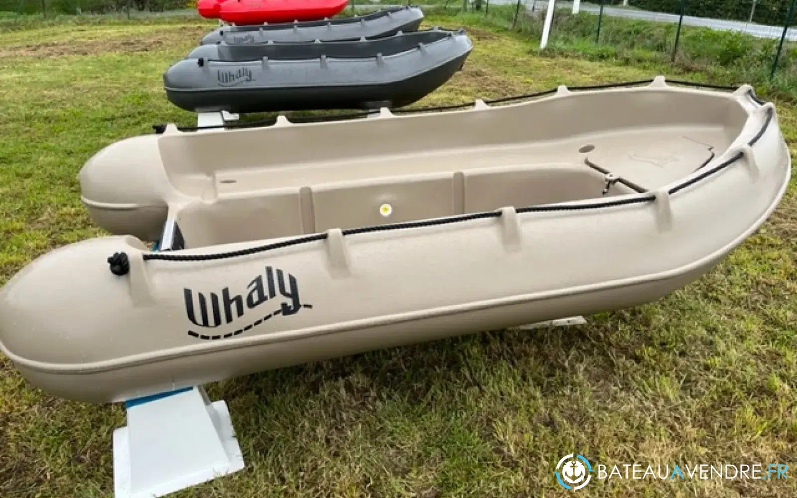 slider 3 Whaly 310