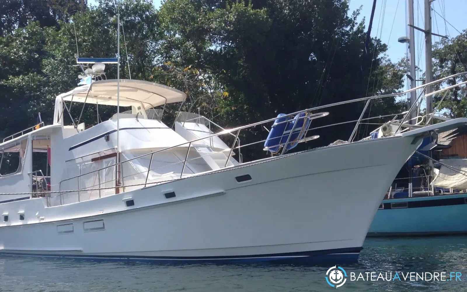 slider 1 Island Gypsy 49
