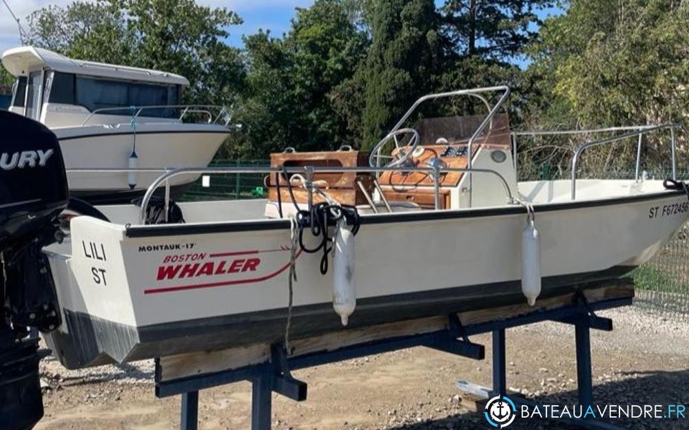 Boston Whaler 17 Montauk exterieur photo de présentation