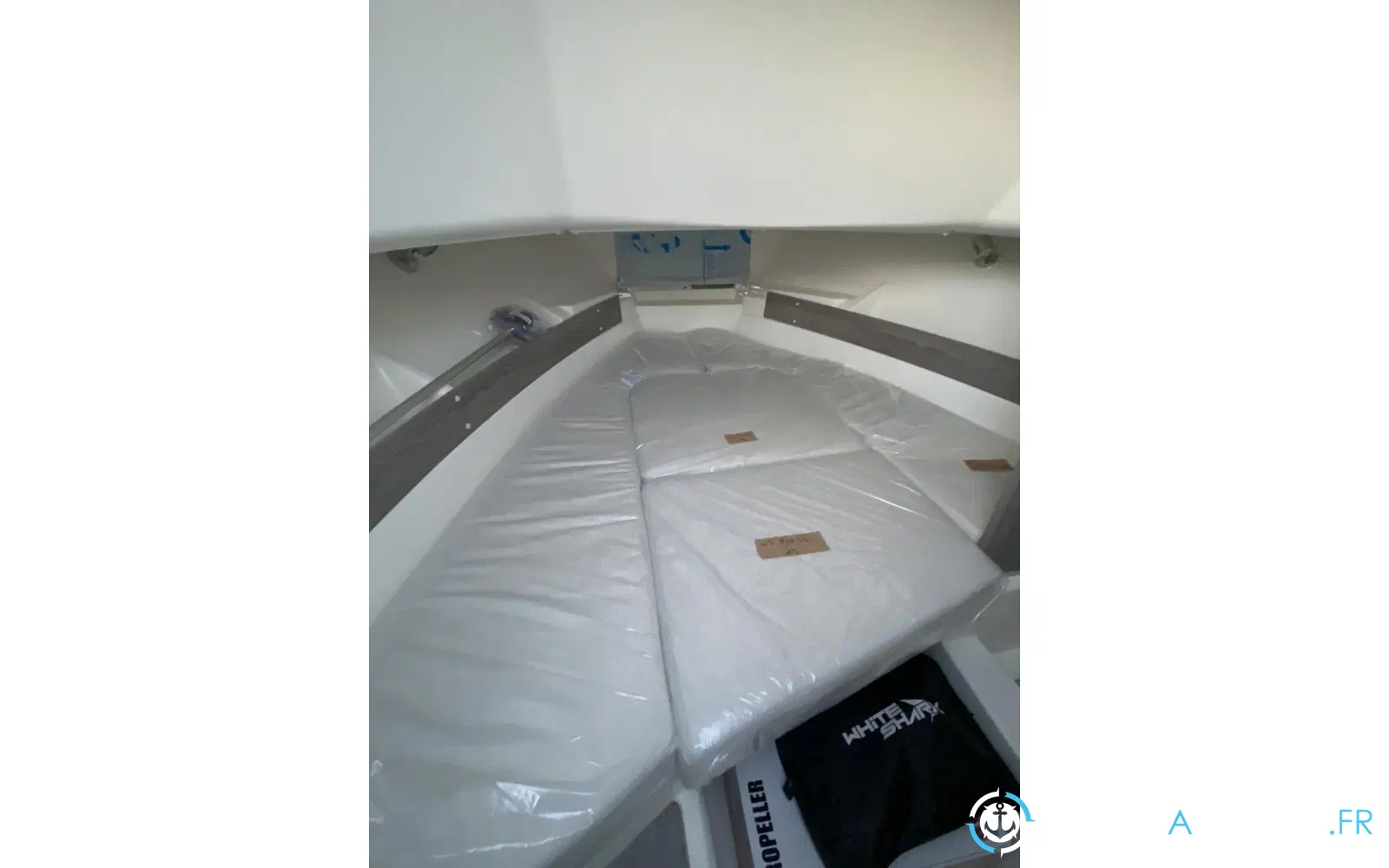 slider 9 White Shark 240 SC