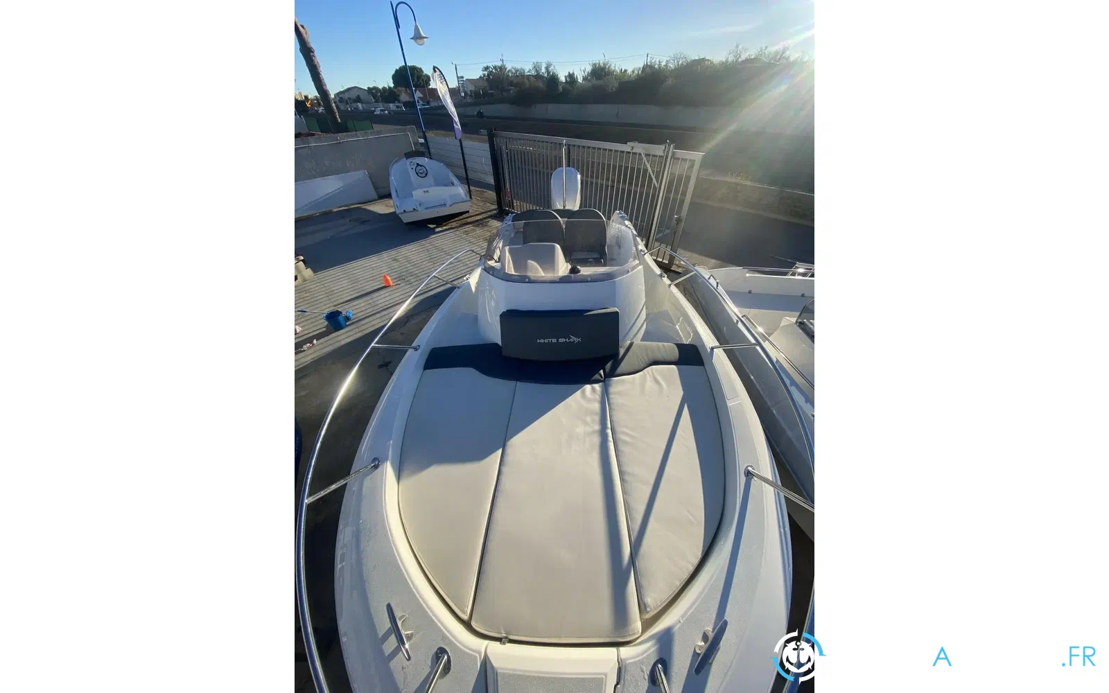 slider 8 White Shark 240 SC