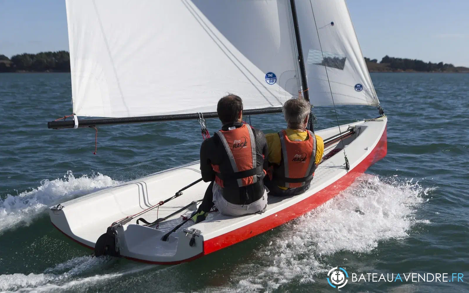 slider 9 Albatros