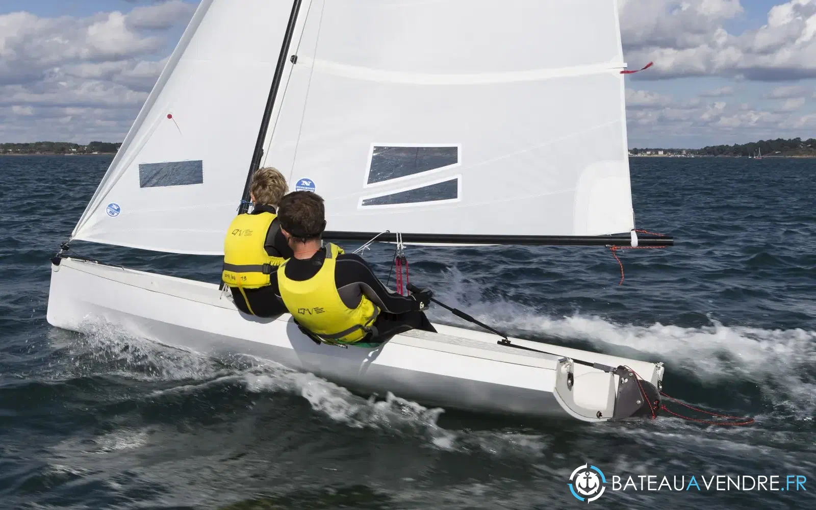 slider 11 Albatros