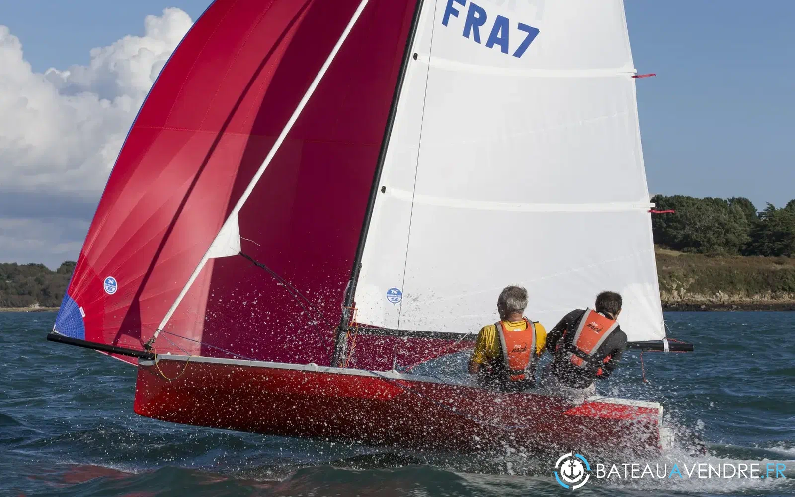 slider 13 Albatros