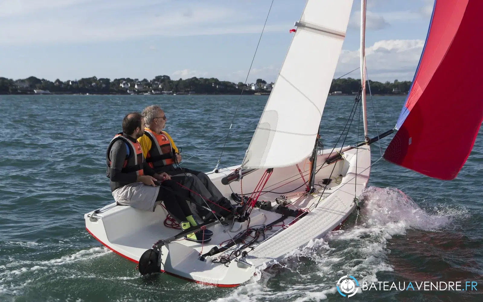 slider 14 Albatros