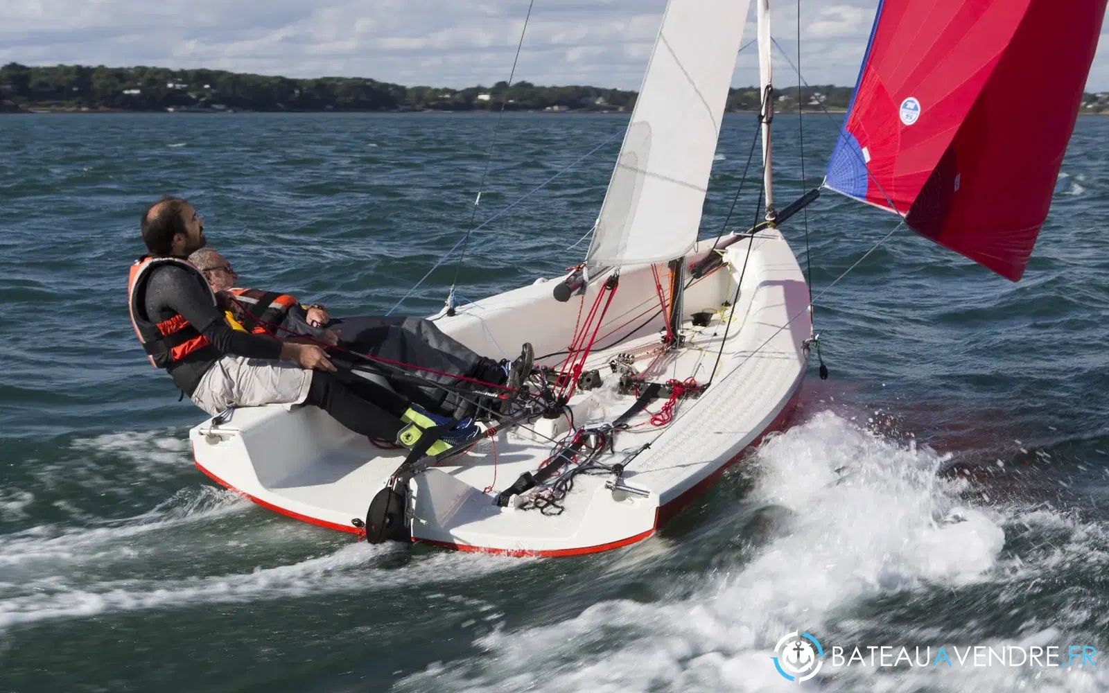 slider 15 Albatros