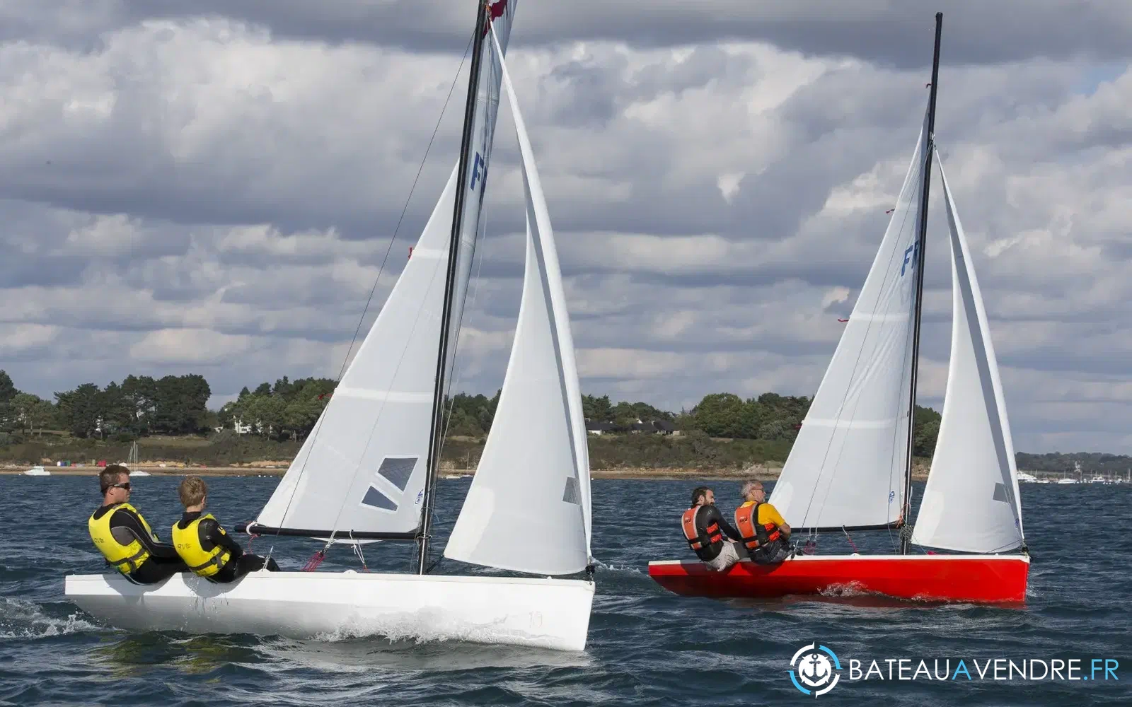 slider 16 Albatros