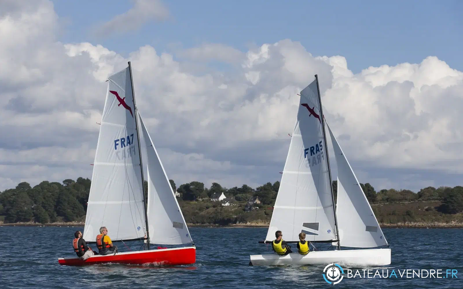 slider 17 Albatros
