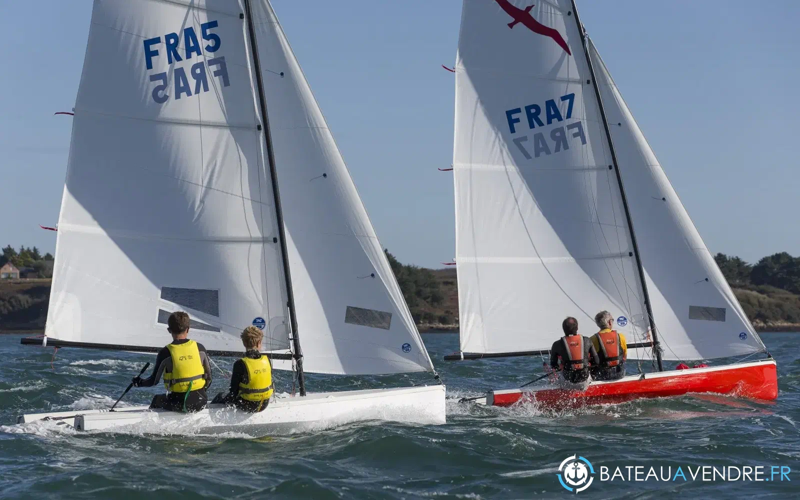 slider 18 Albatros