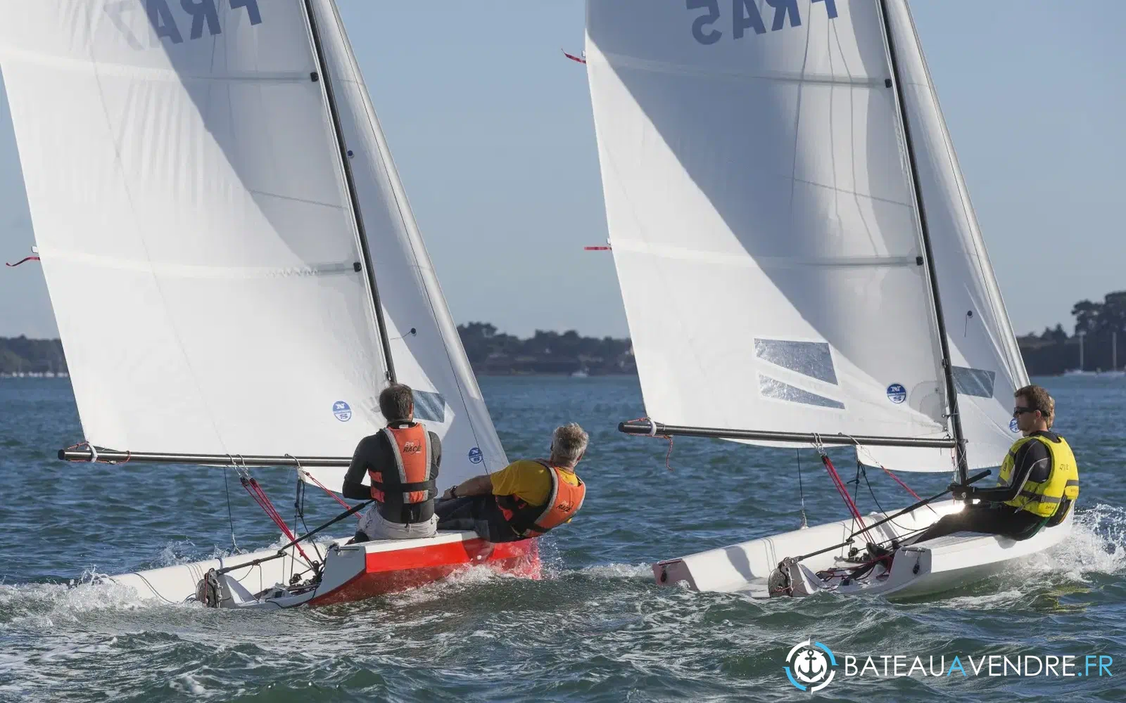 slider 19 Albatros