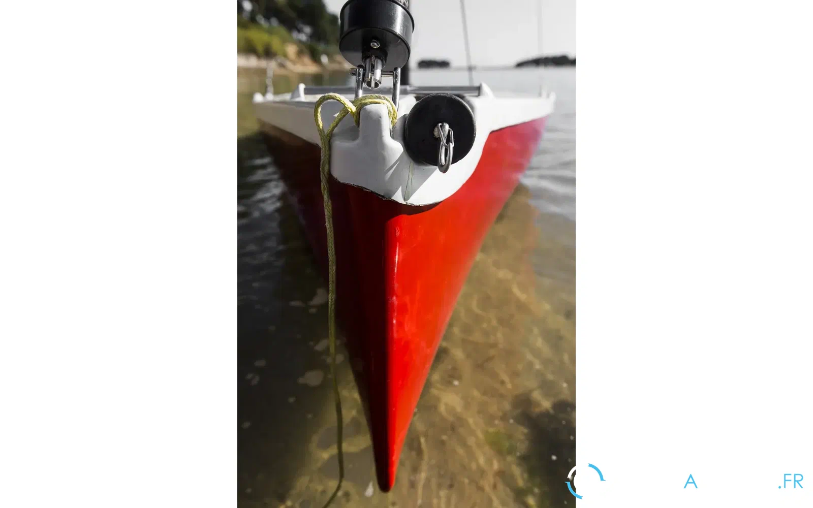 slider 3 Albatros