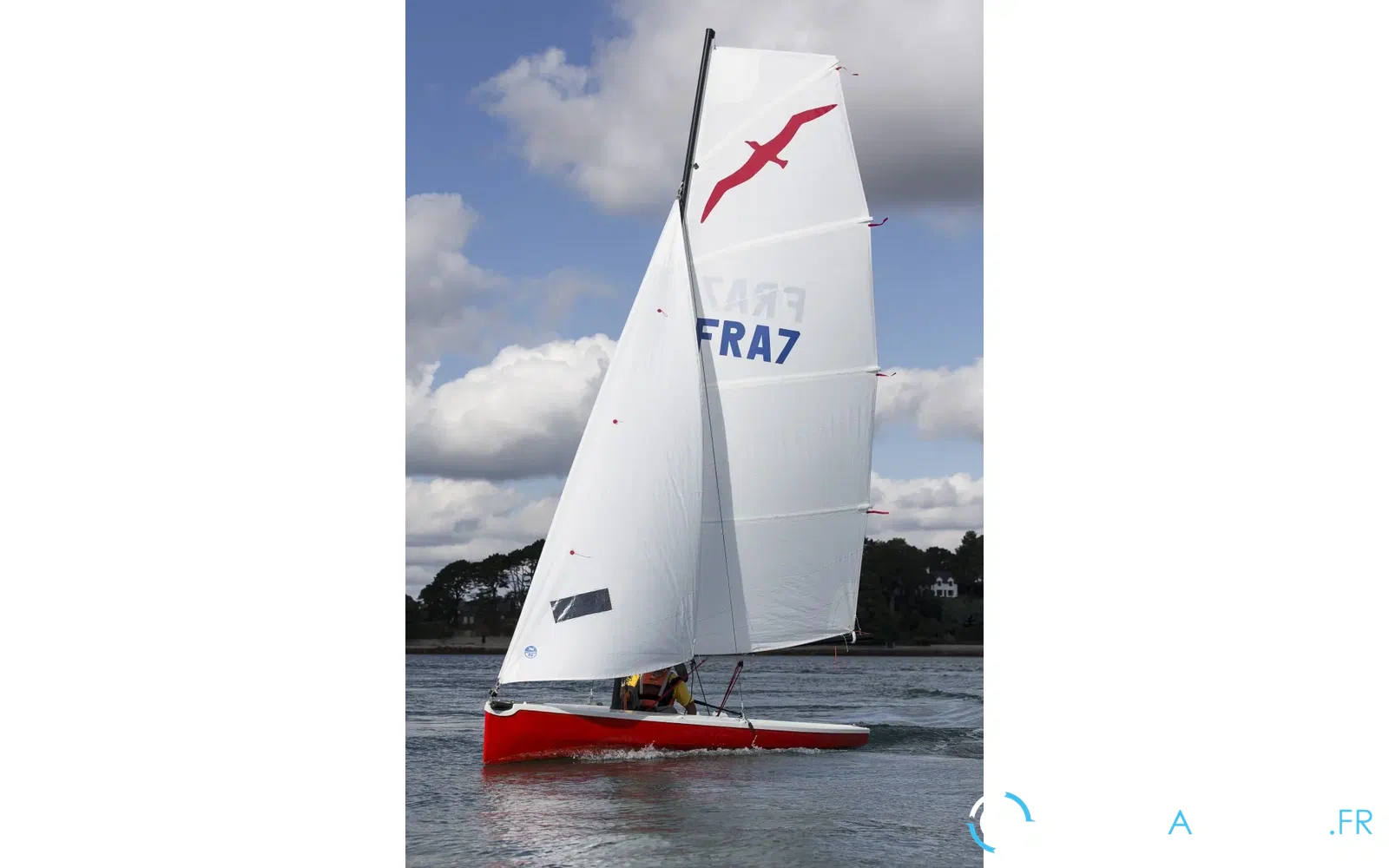 slider 5 Albatros