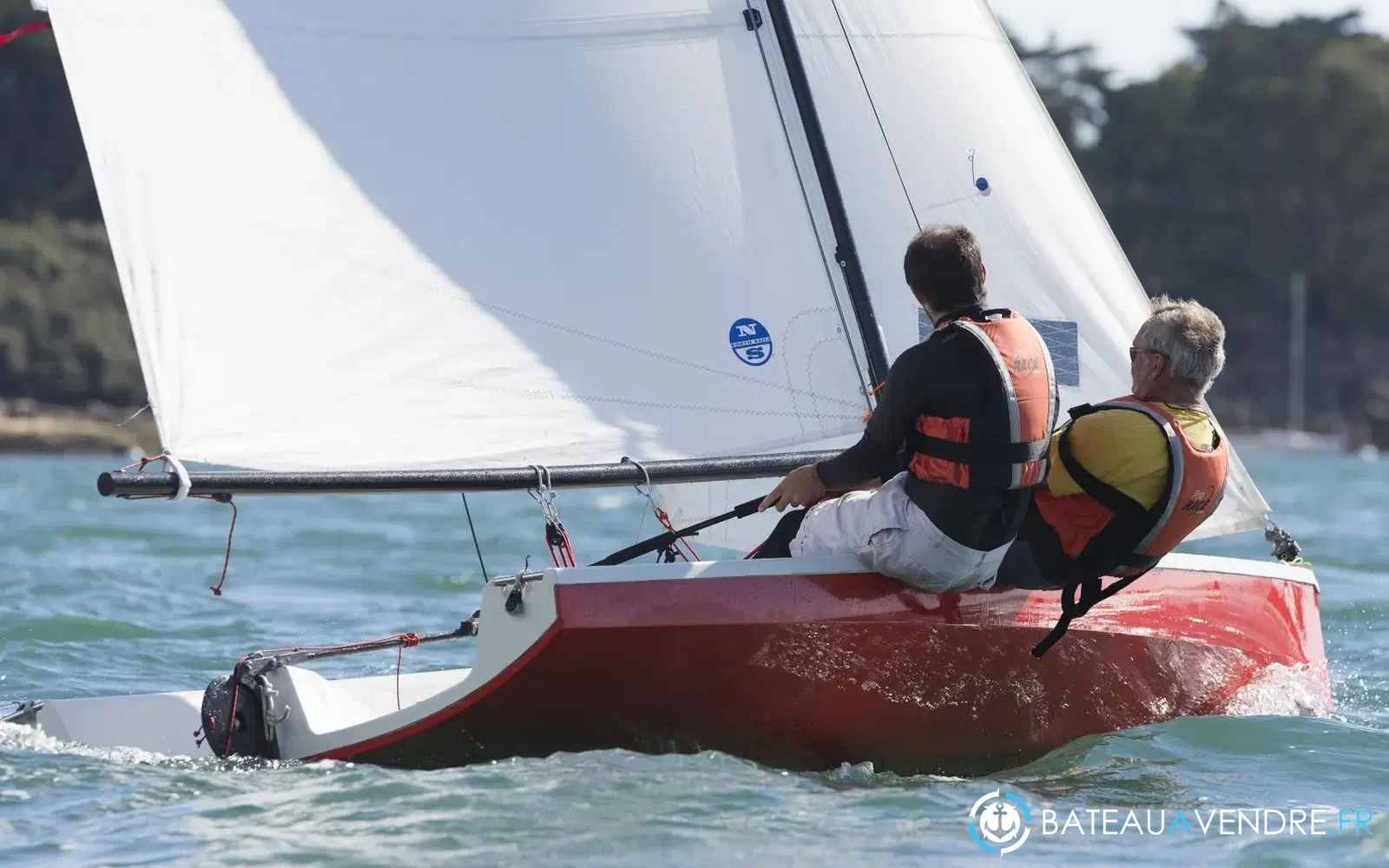 slider 6 Albatros