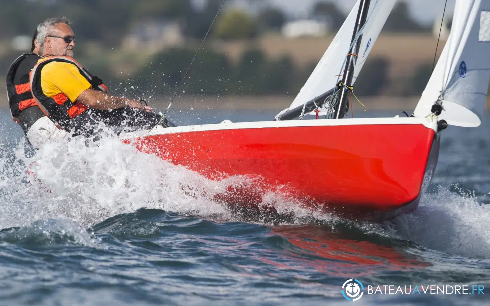 slider 7 Albatros