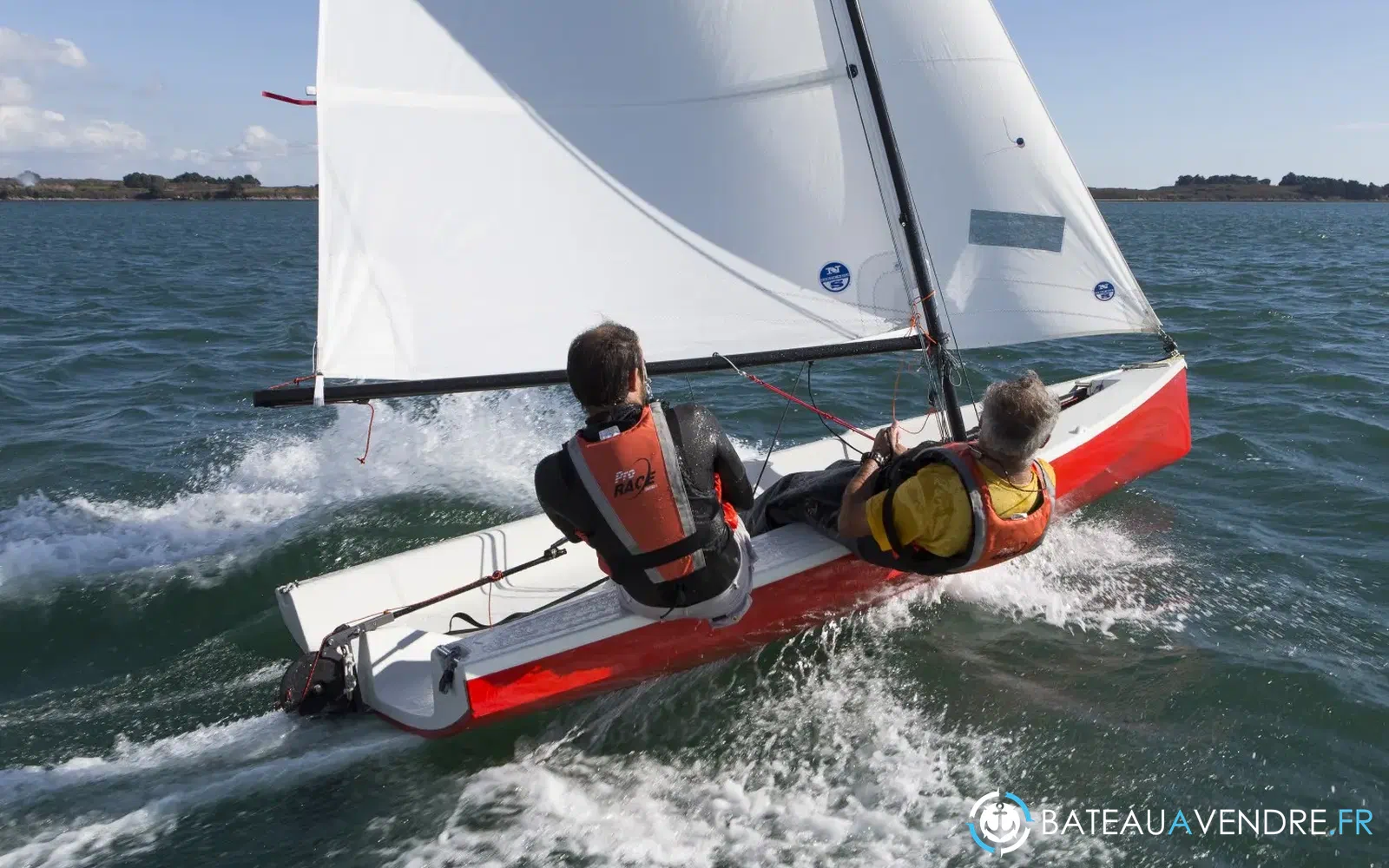 slider 8 Albatros