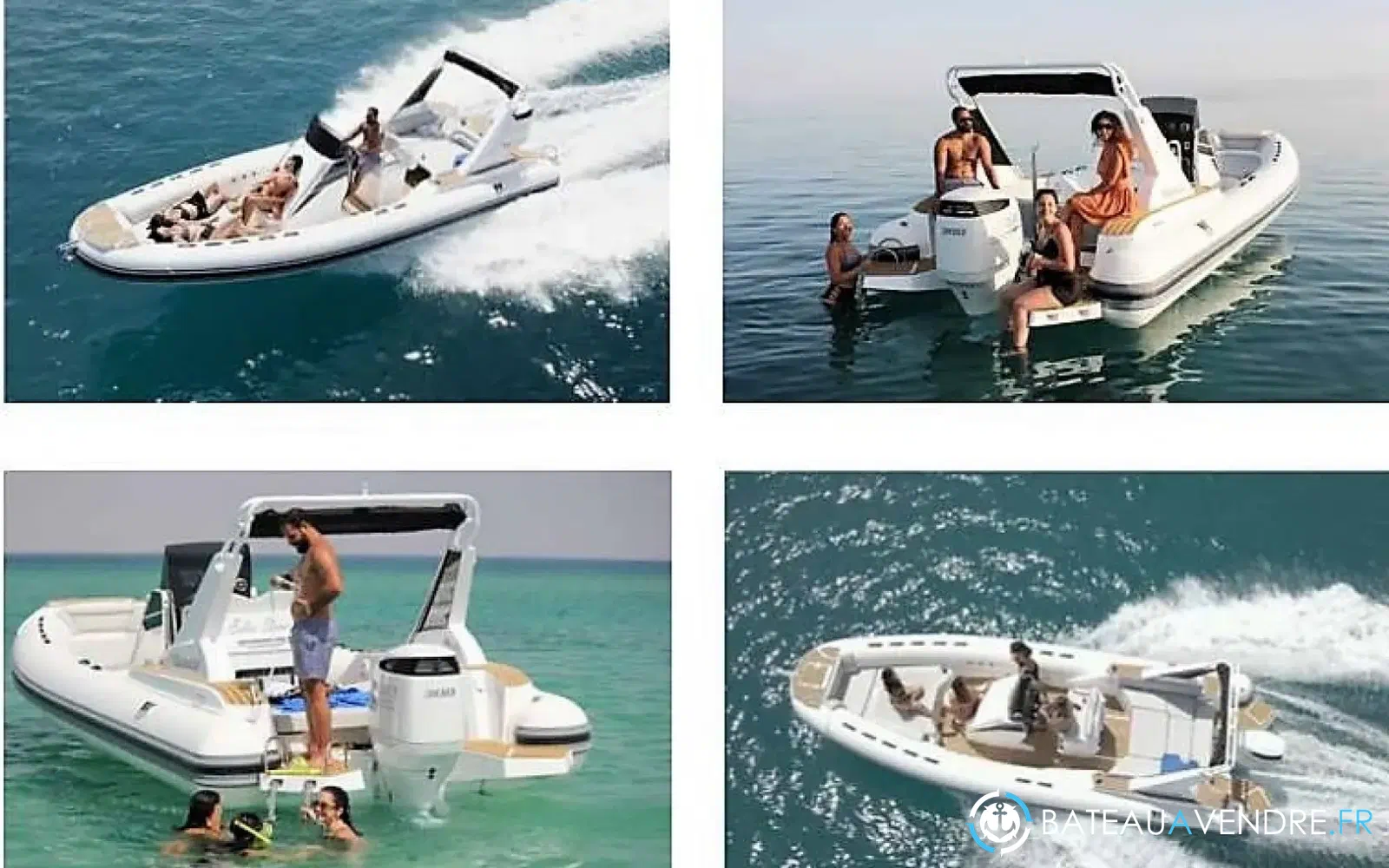 slider 1 Tiger Marine Top Line 850
