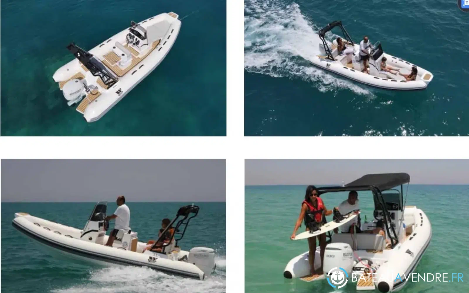 slider 1 Tiger Marine Pro Line 550