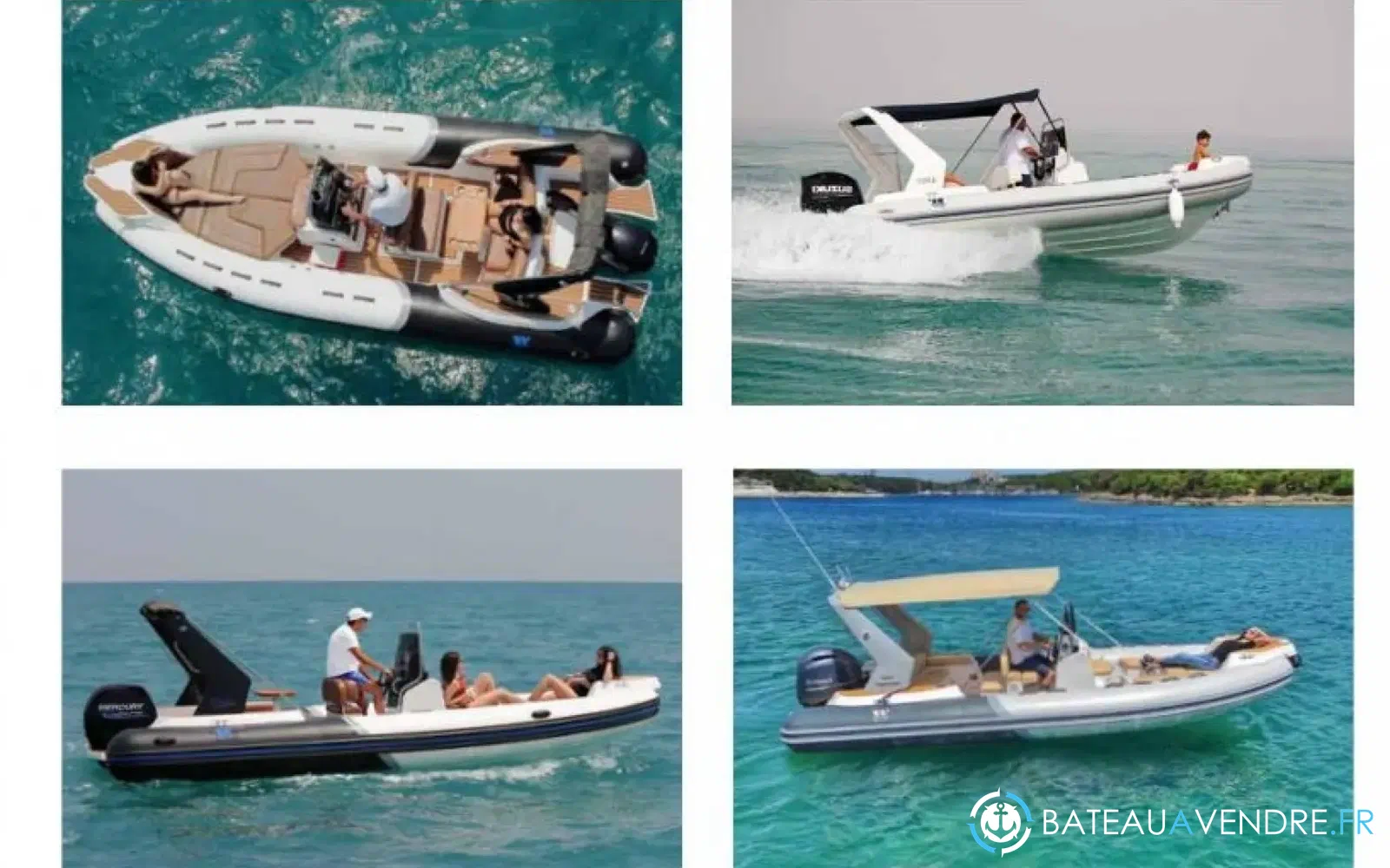 slider 1 Tiger Marine Top Line 650
