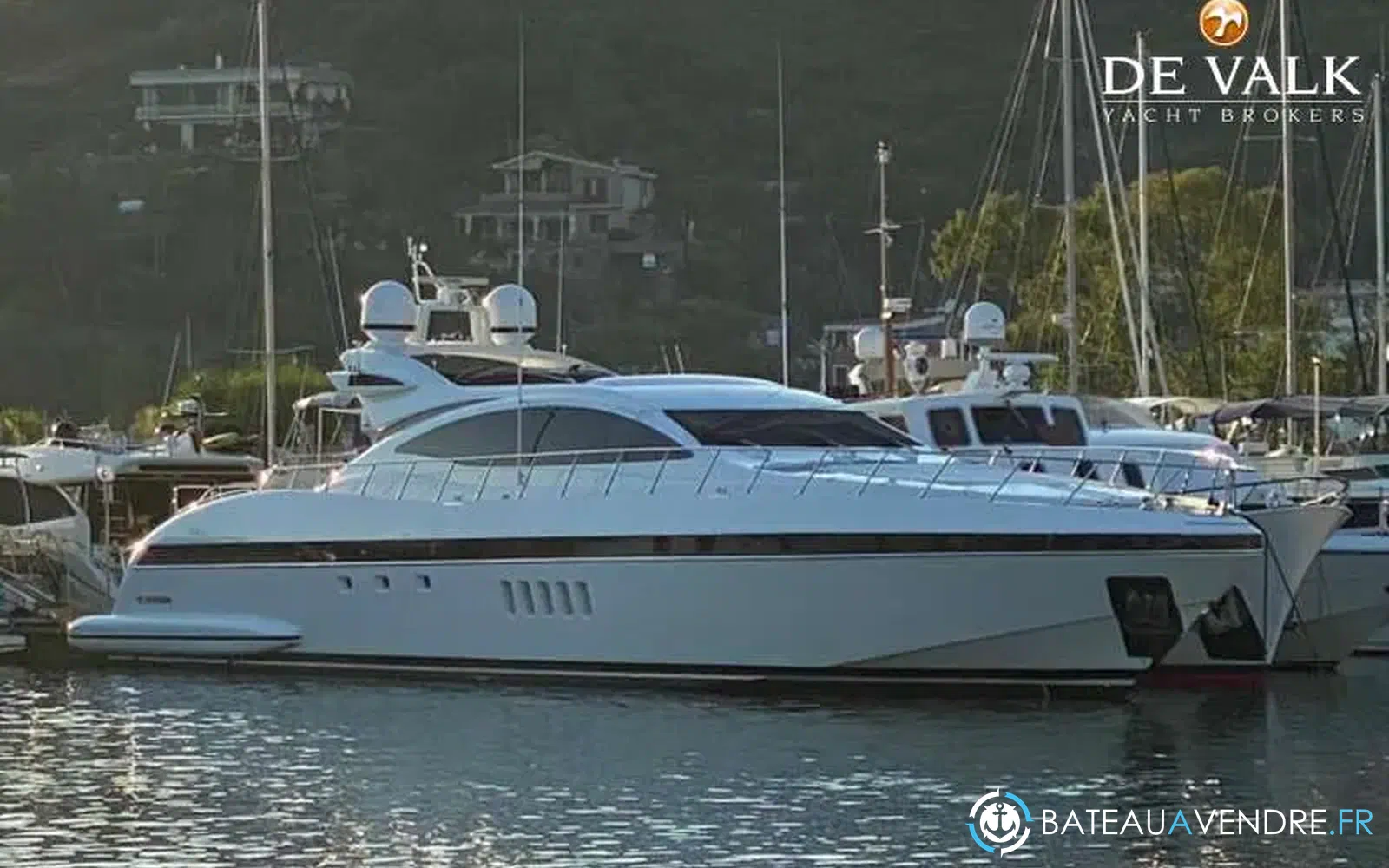 slider 1 Mangusta 92