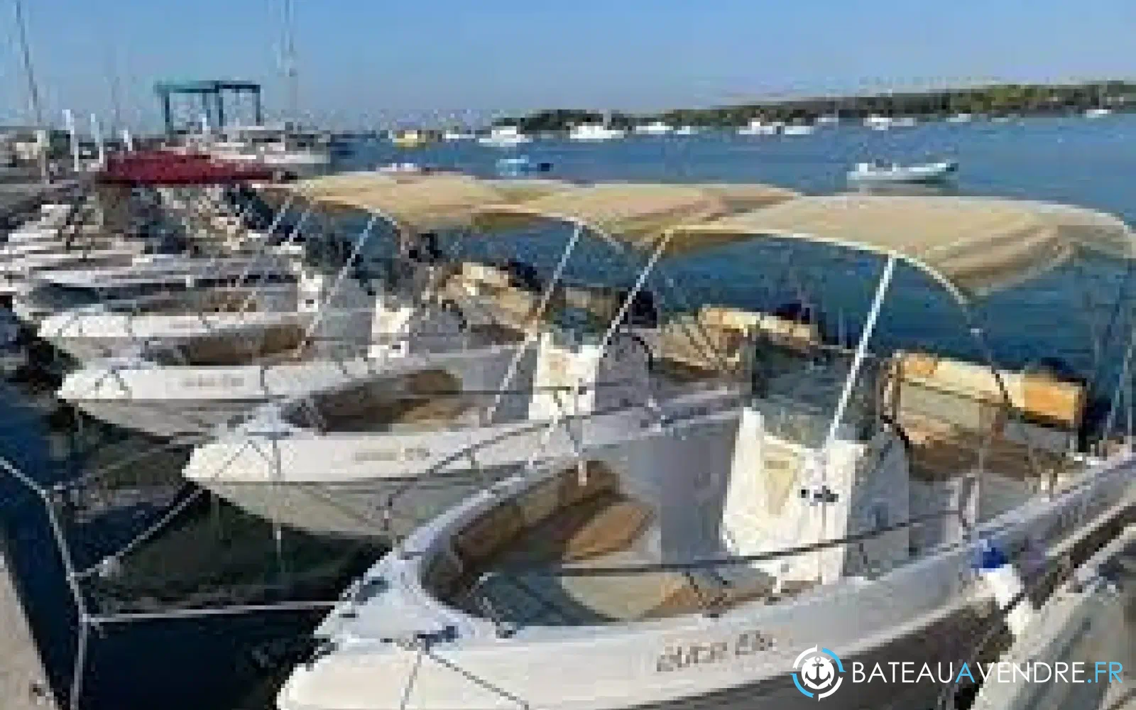 slider 7 Salento Marine Elite 19 S