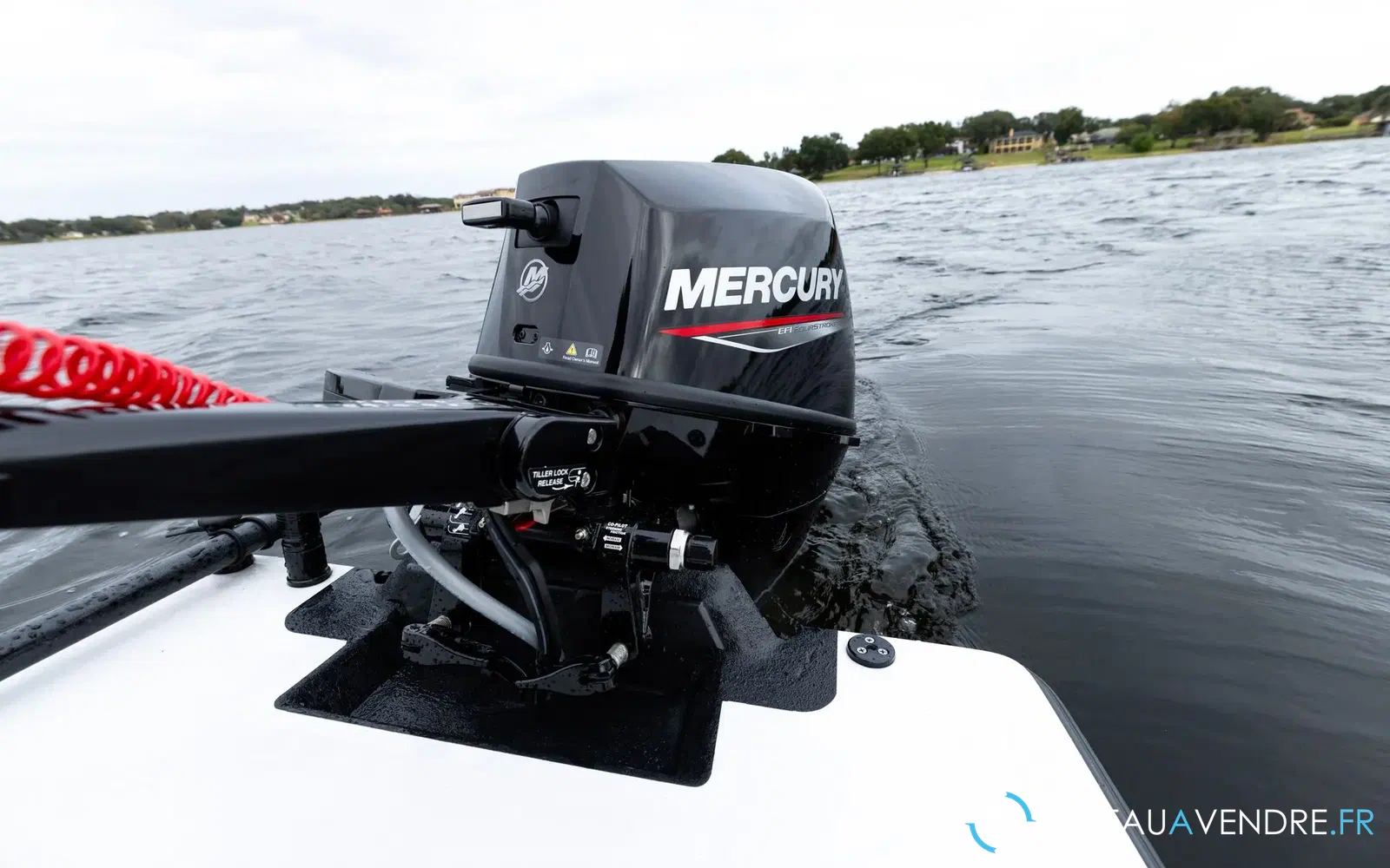 slider 3 Moteur Mercury 9.9 cv efi