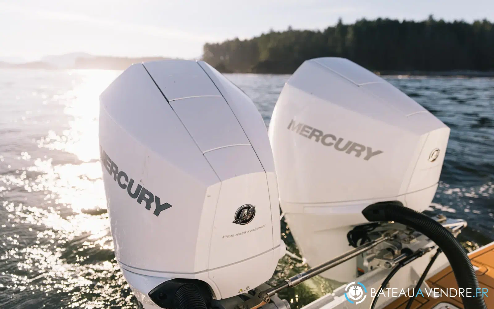 slider 4 Moteur Mercury 200 cv efi