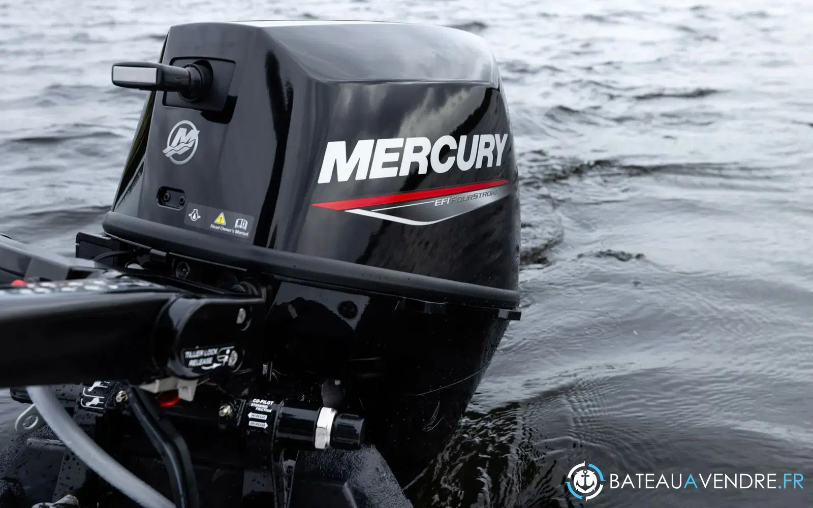 slider 0 Moteur Mercury 8 cv efi