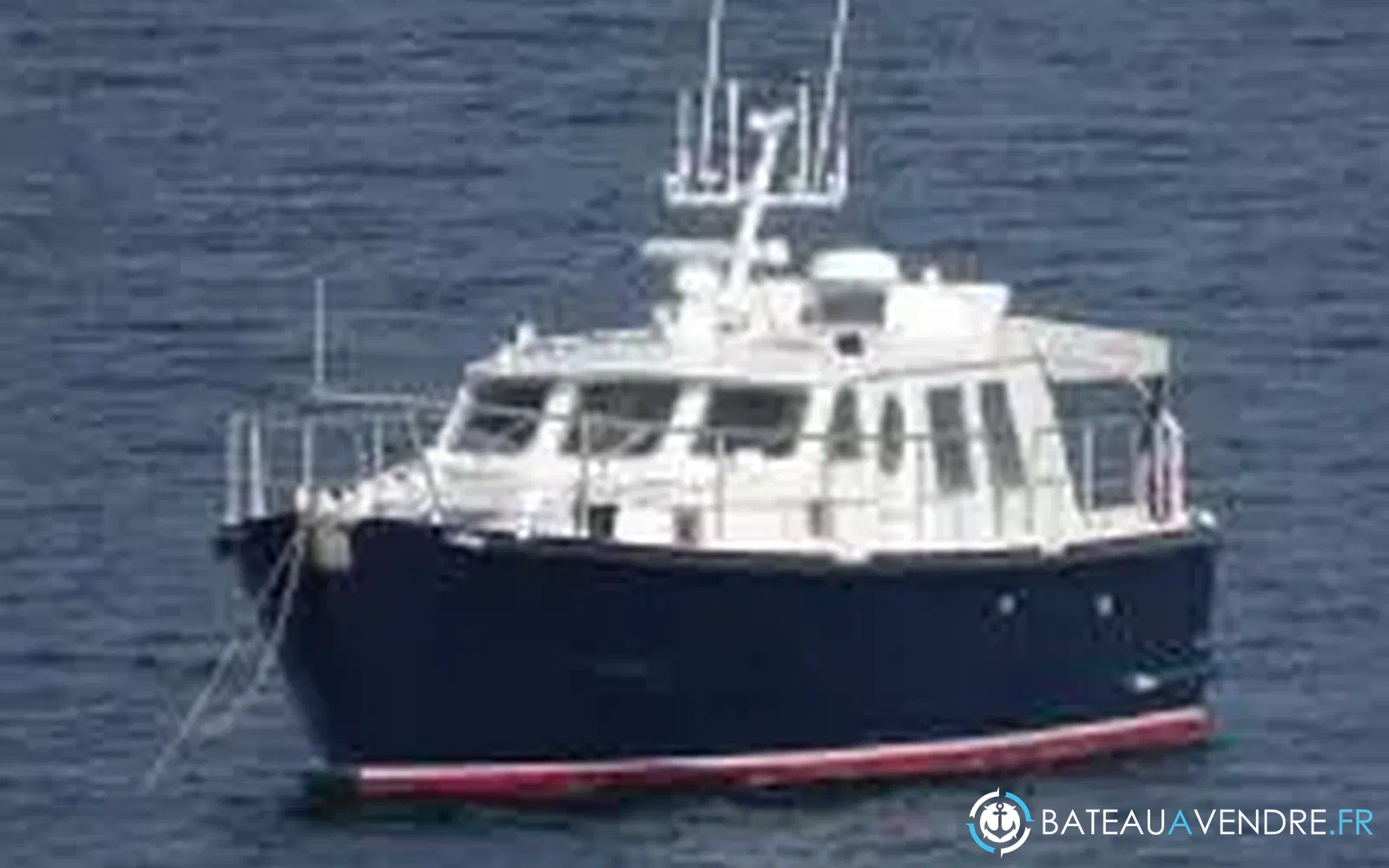 slider 1 Meta Trawler