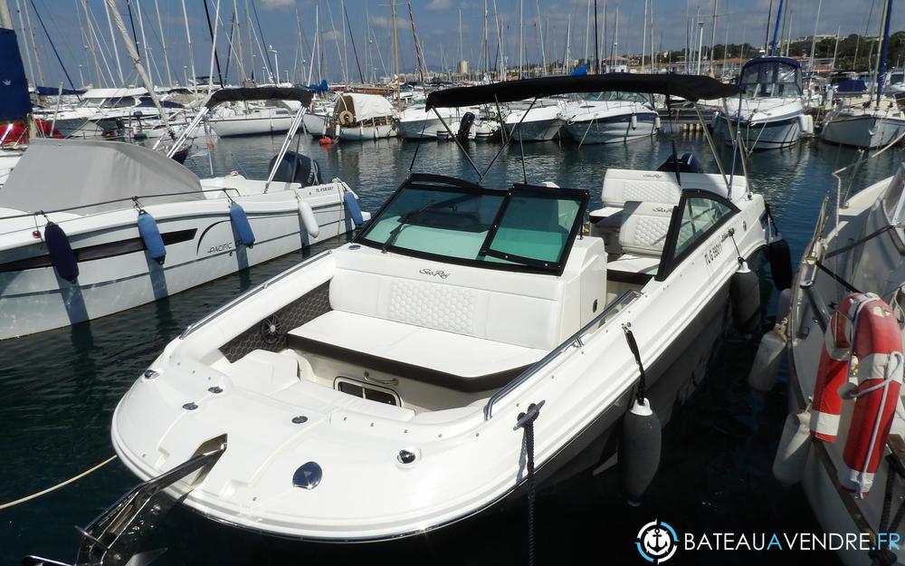 Sea Ray  250 SDOE  exterieur photo 3