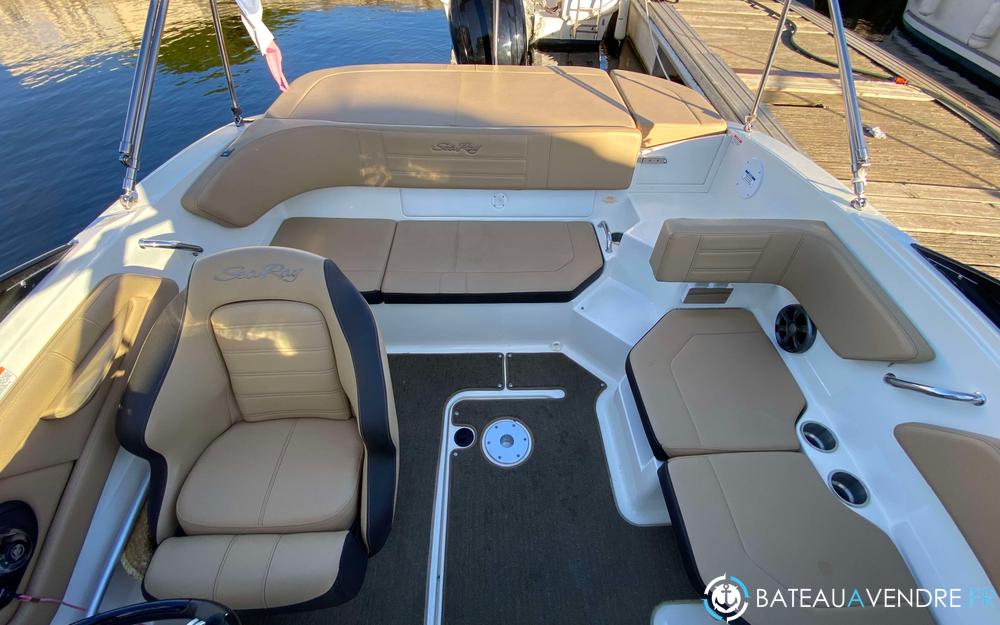 Sea Ray SPX 190 OB photo 4