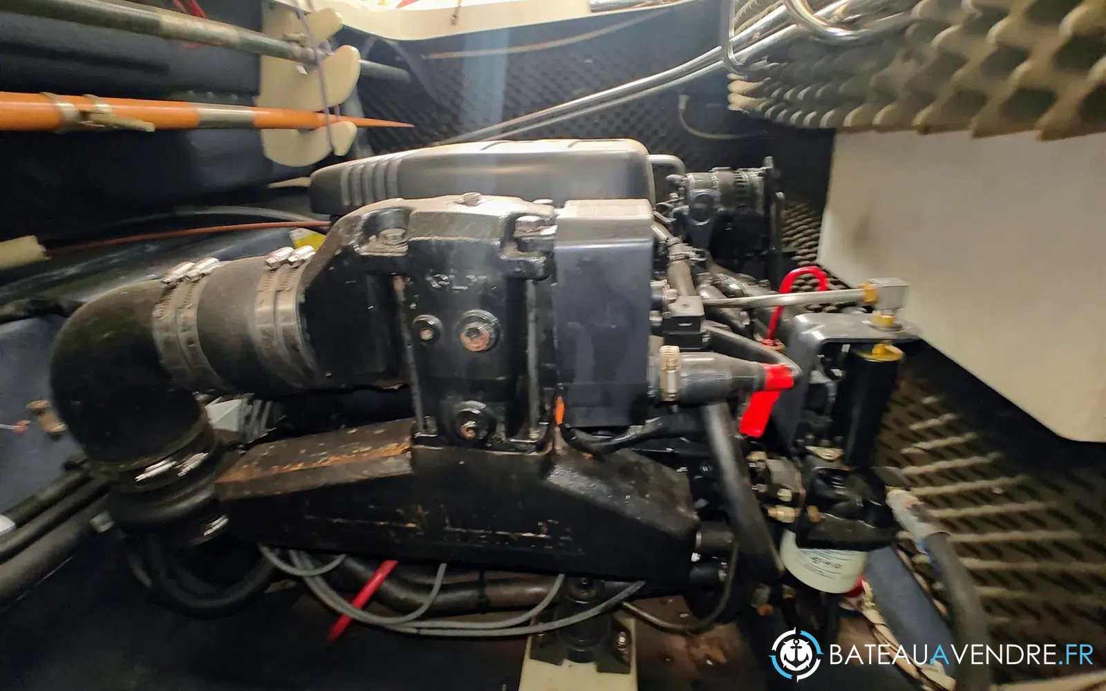 slider 18 Cranchi Turchese 24