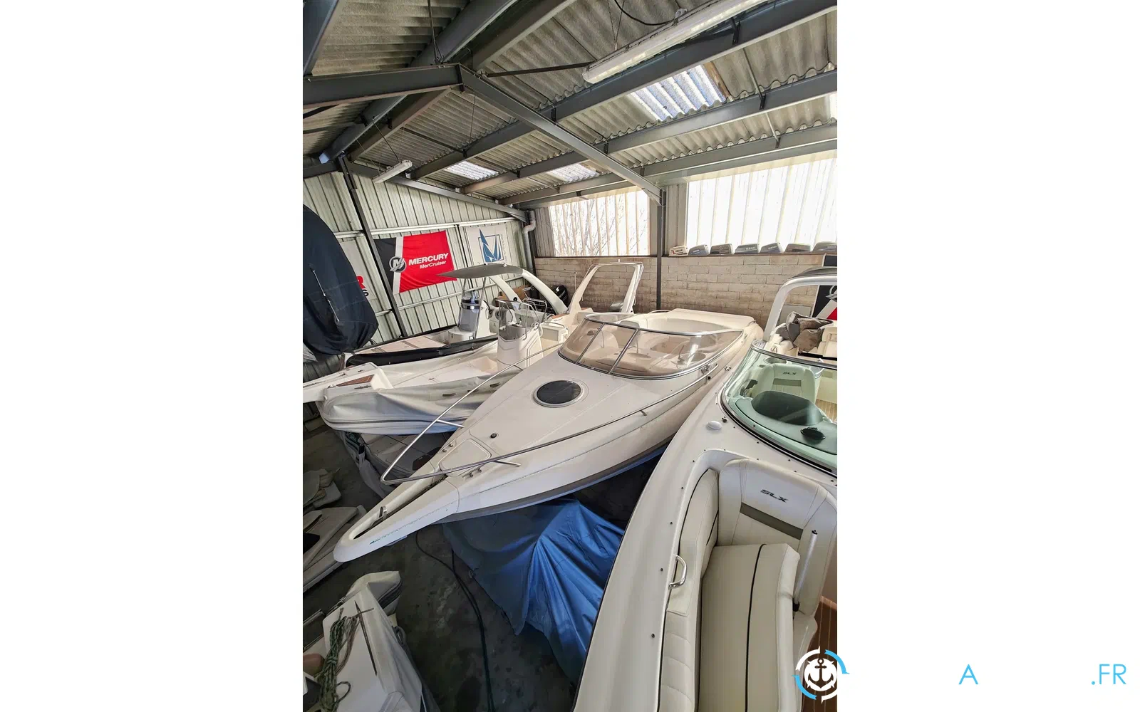slider 1 Cranchi Turchese 24