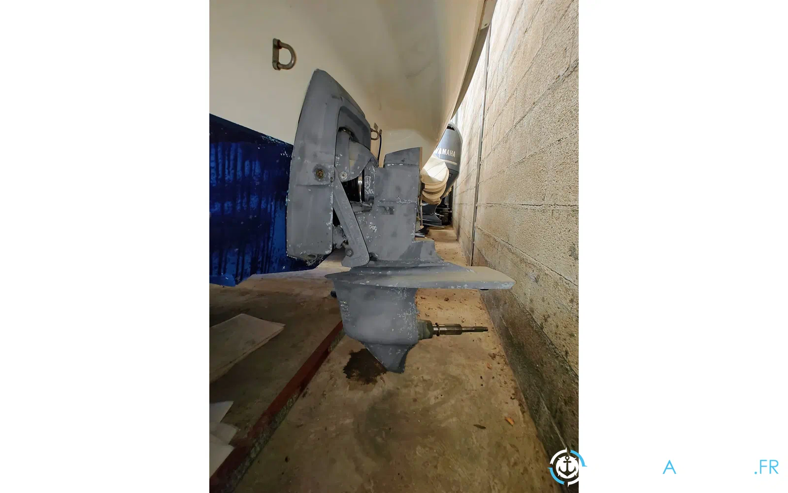 slider 23 Cranchi Turchese 24