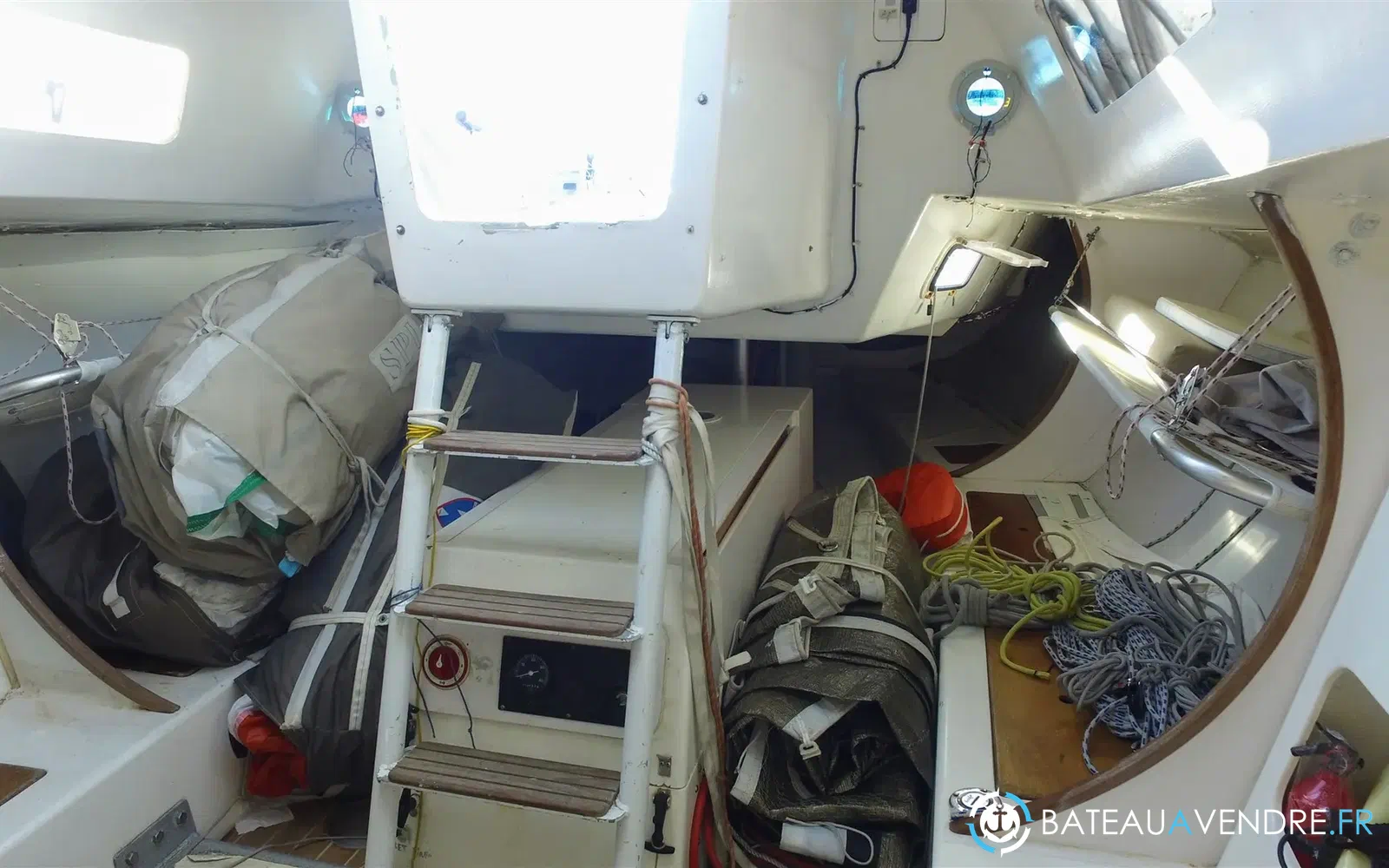 slider 15 Carroll Marine Mumm 36