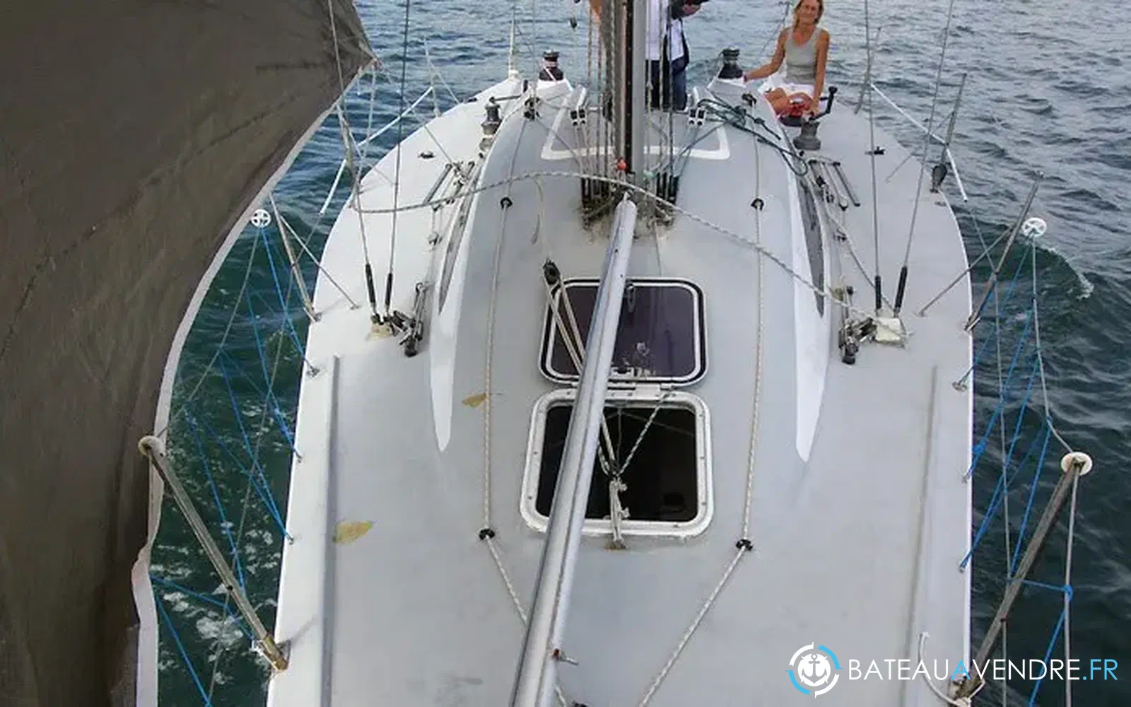 slider 2 Carroll Marine Mumm 36