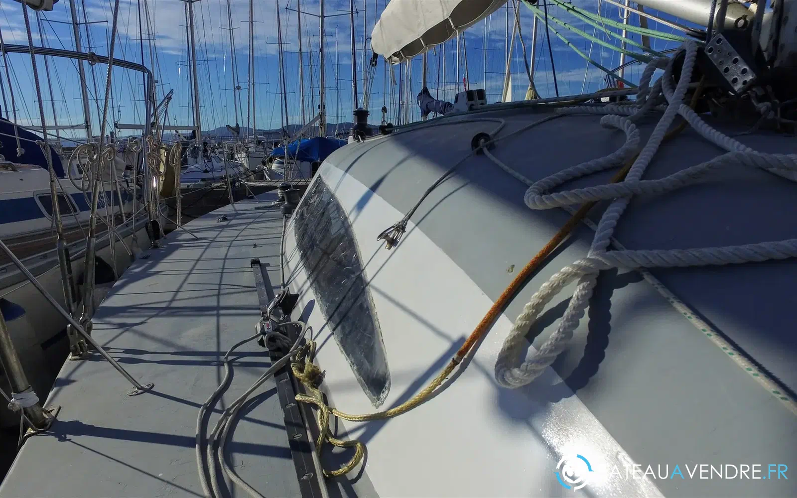 slider 8 Carroll Marine Mumm 36