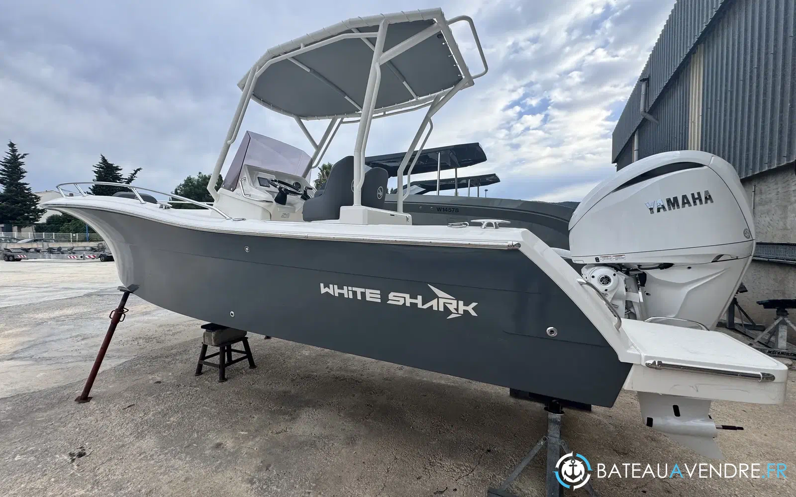 slider 1 White Shark 240 CC