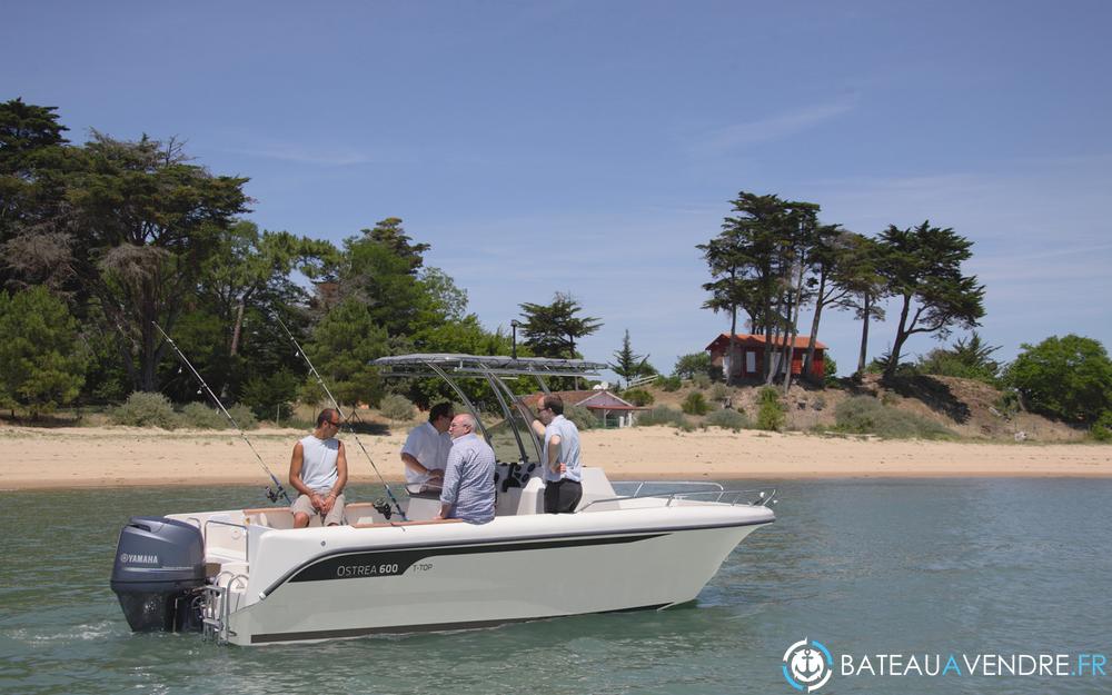 Ocqueteau Ostrea 600 T-Top photo de présentation