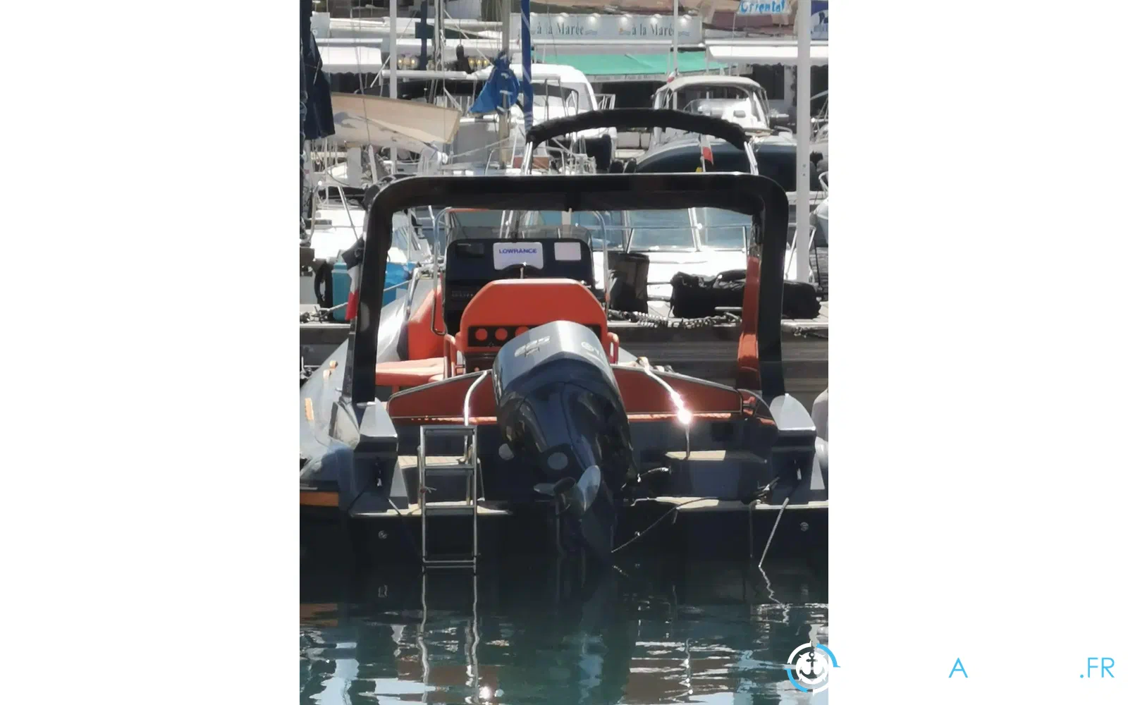 slider 12 Azaiez BARRACUDA ESPADON 695